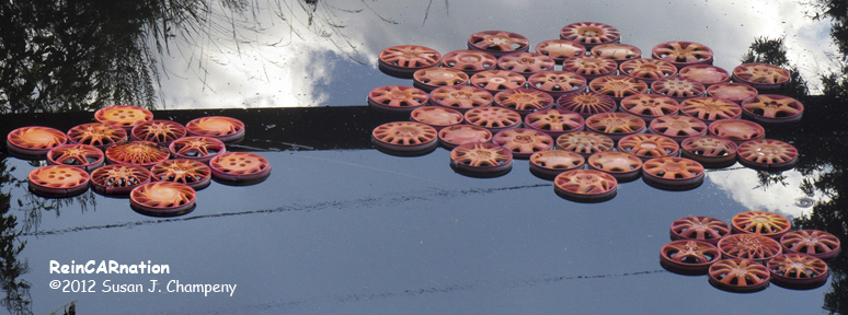 ReinCARnation Hubcap Lily Pads